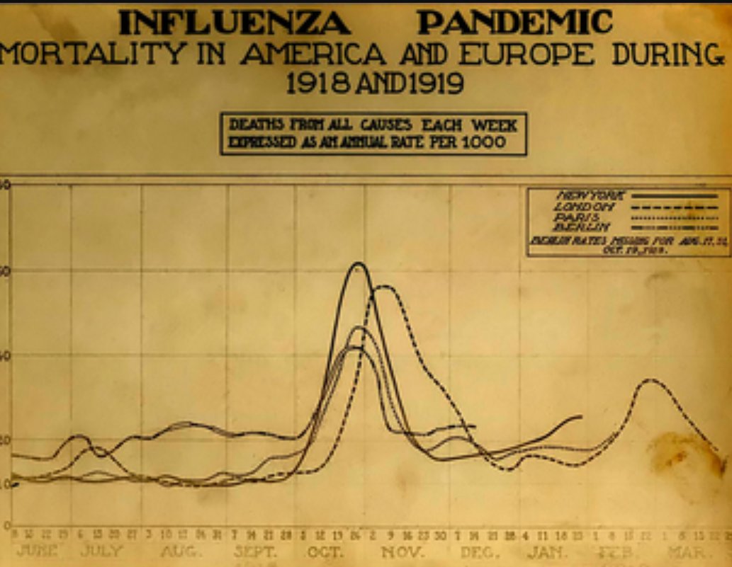 Great Influenza Pandemic Mortality Rate in the United States and Europe, 1918-1919, Credit: Medicine Net 