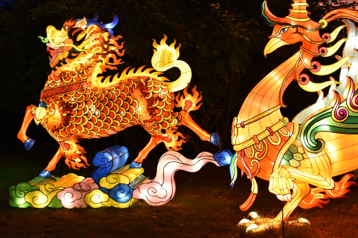 Philadelphia Chinese Lantern Festival - Photo Credit: Wendy Furman