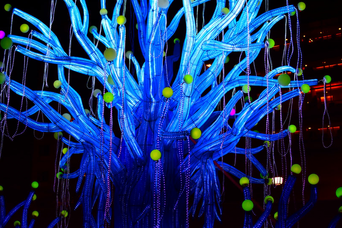 Philadelphia Chinese Lantern Festival - Photo Credit: Wendy Furman