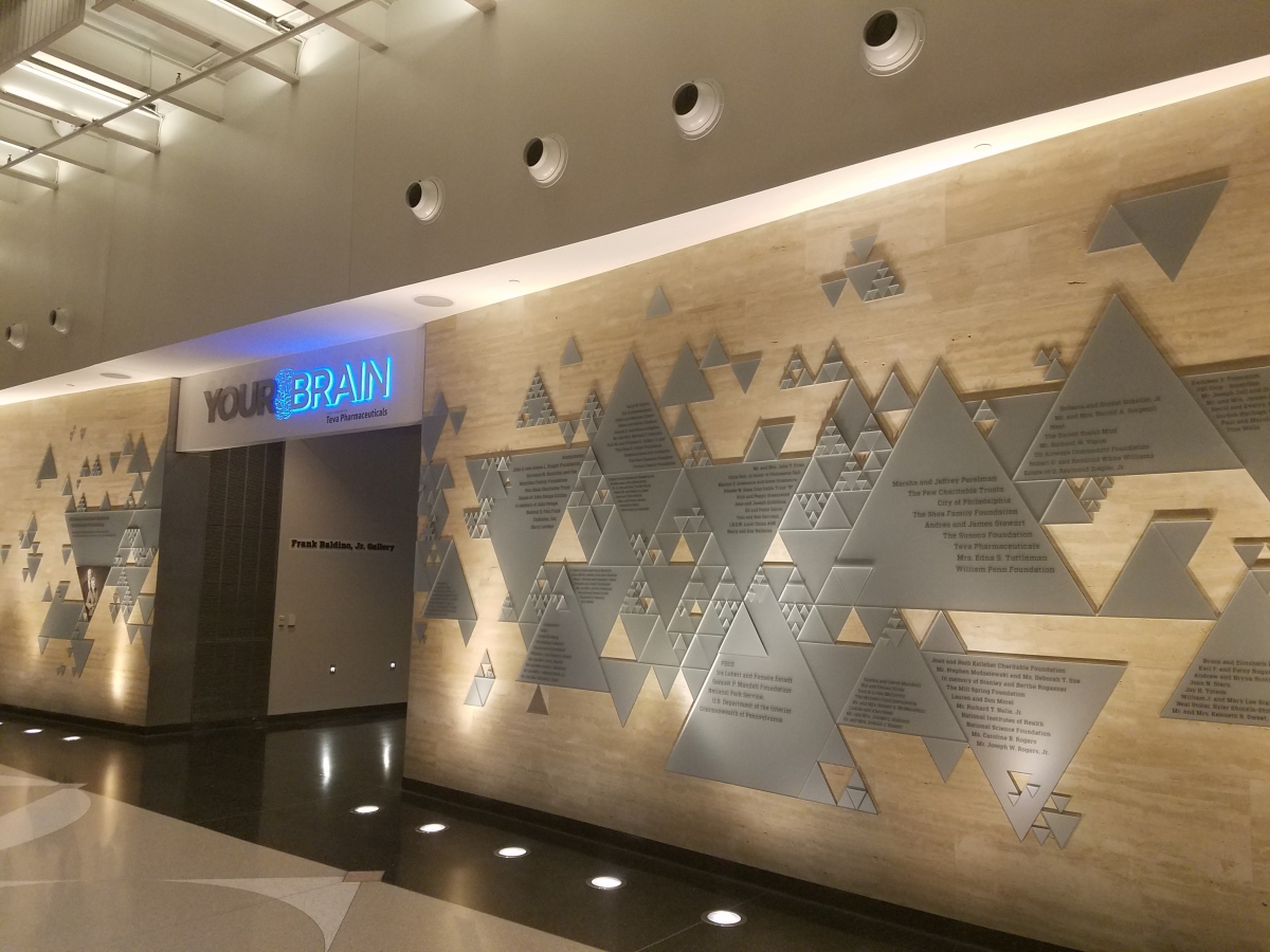 The Brand New The Brand New "Your Brain" Exhibit