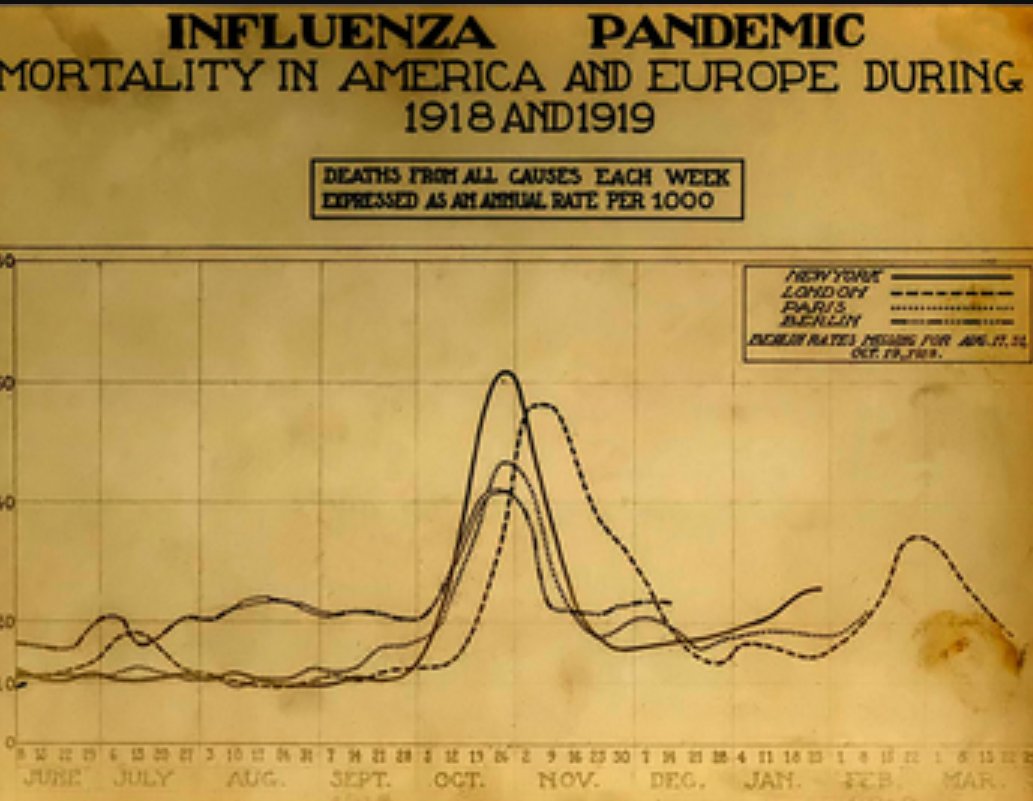 Great Influenza Pandemic Mortality Rate in the United States and Europe, 1918-1919, Credit: Medicine Net