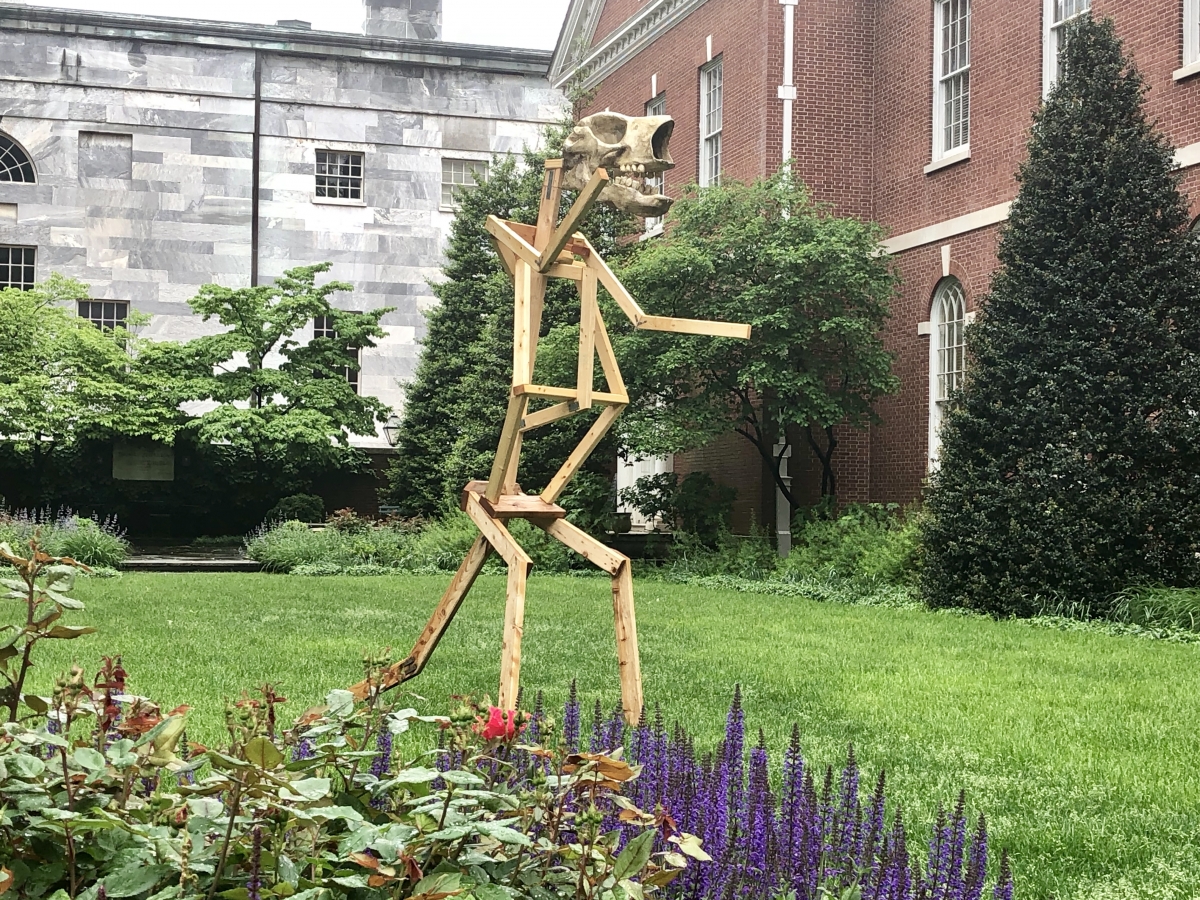 Megalonyx Jeffersonii - Thomas Jefferson's Sloth in the Thomas Jefferson Garden