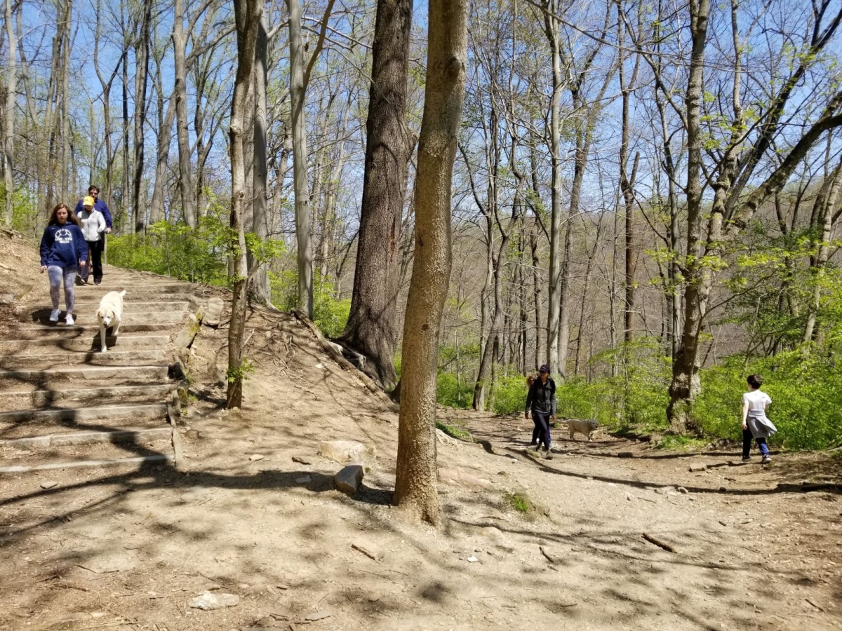 Rolling Hill Park, Gladwyne, PA