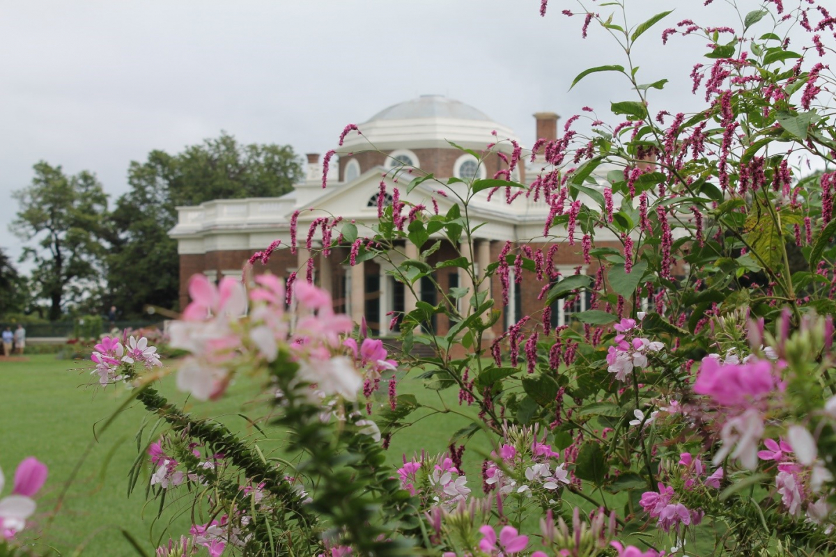 Monticello