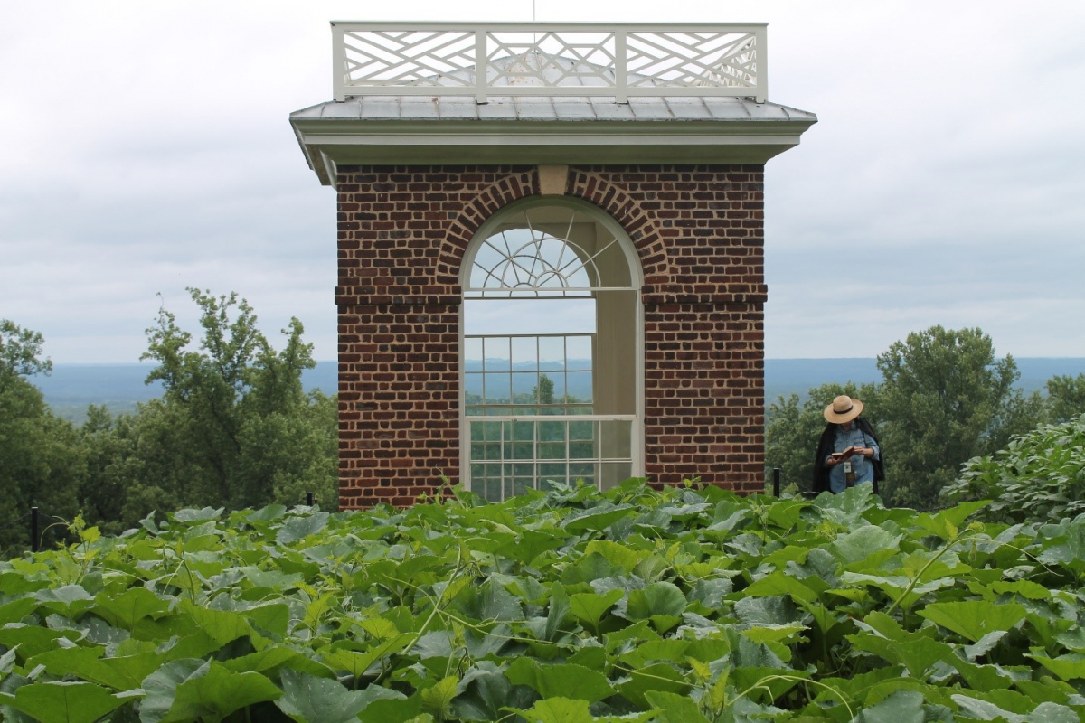 Monticello Gardens