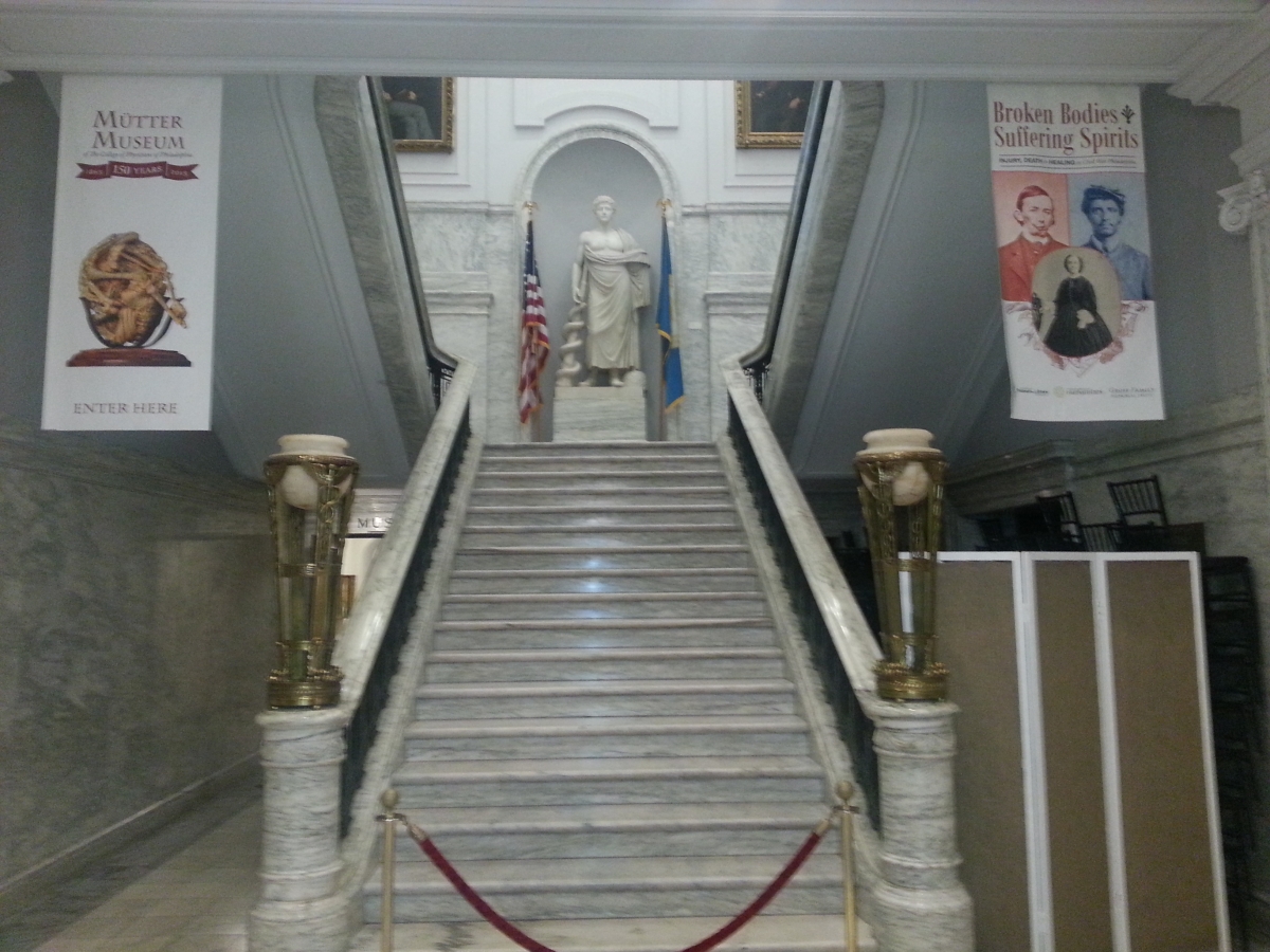 The Mütter Museum