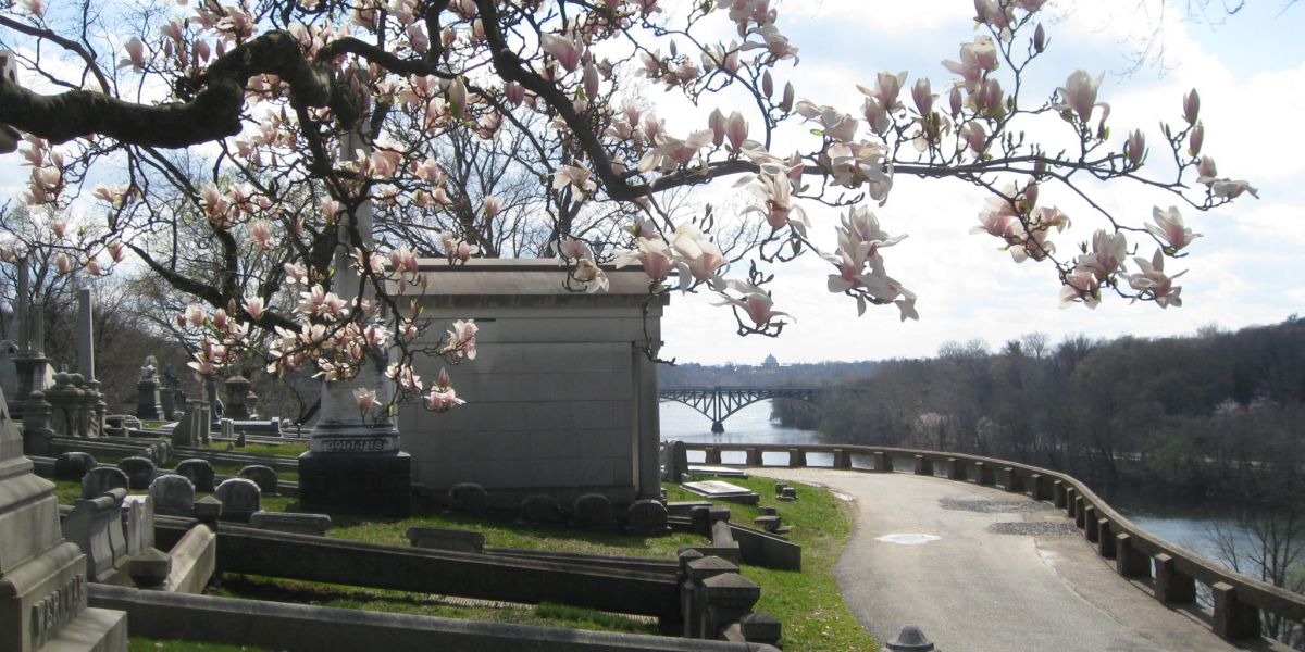 Laurel Hill Cemetery - Photo Credit: thelaurelhillcemetery.org