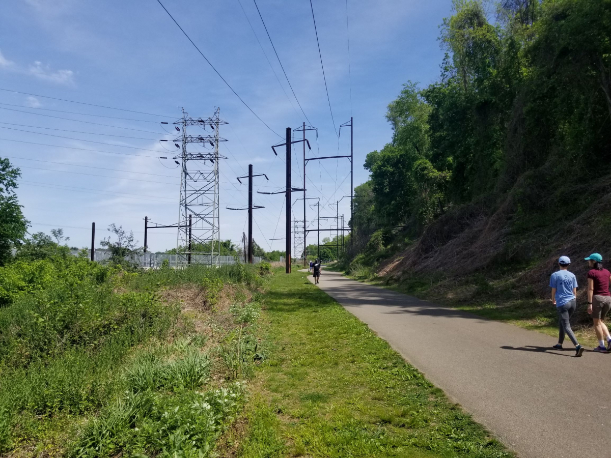 Cynwyd Trail